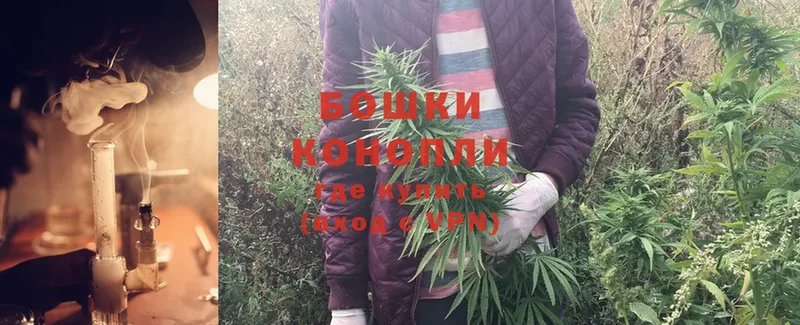 Бошки марихуана OG Kush  кракен зеркало  Карачаевск  закладки 